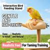 Washable Parrot Bird Perch Stand Adult Hand Proportions Parrot Fake Hand Perch  Interactive Play
