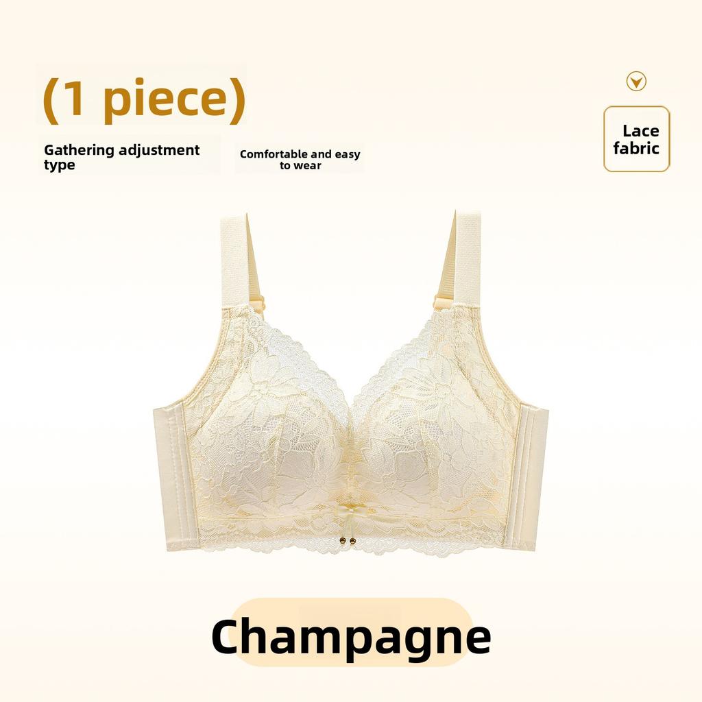 Female Spring and Autumn Lace Small Breasts Show Large Close Pair of Anti Sagging Traceless Underwear