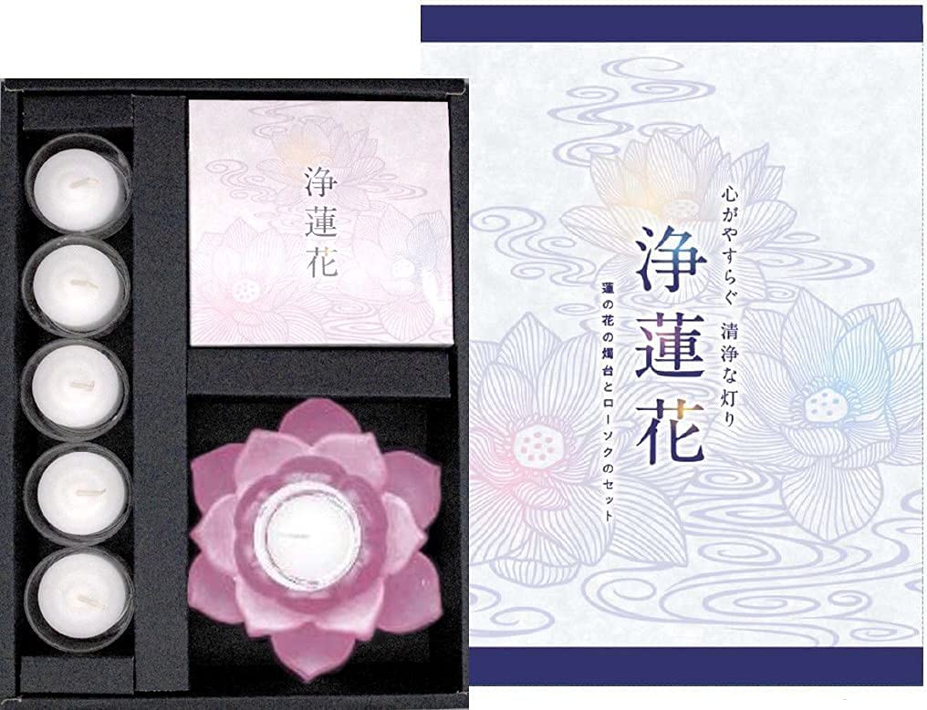 

Набор Maruesu Jyorenka Морозный Пурпурный