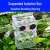 Acrylic Betta Fry Breeding & Isolation Box for Tropical Fish Spawning