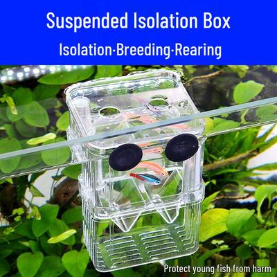 Acryl Betta Jungfisch Zucht- & Isolationsbox für das Ablaichen tropischer Fische