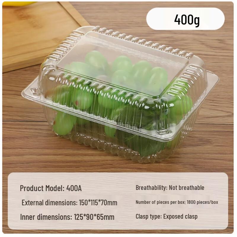 SBL Disposable Fruit & Takeaway Containers