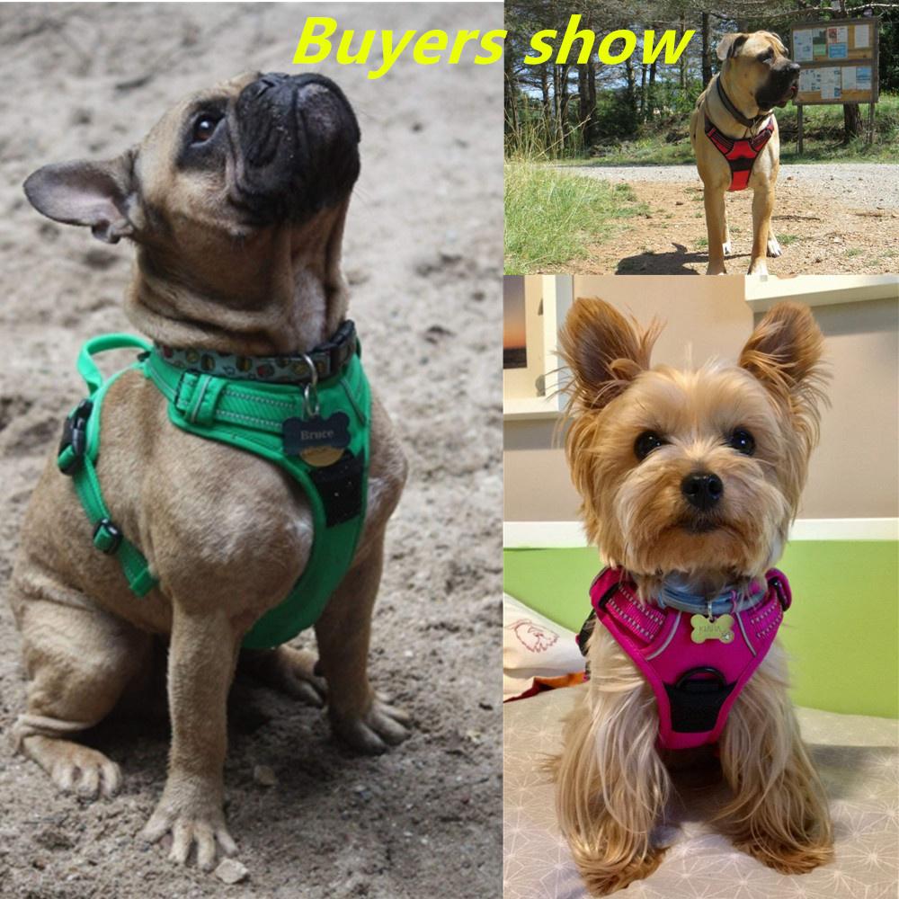 Cheap Dog Harness Truelove Reflective Nylon Service Dog Ves Padded Adjustable Safety Vehicular