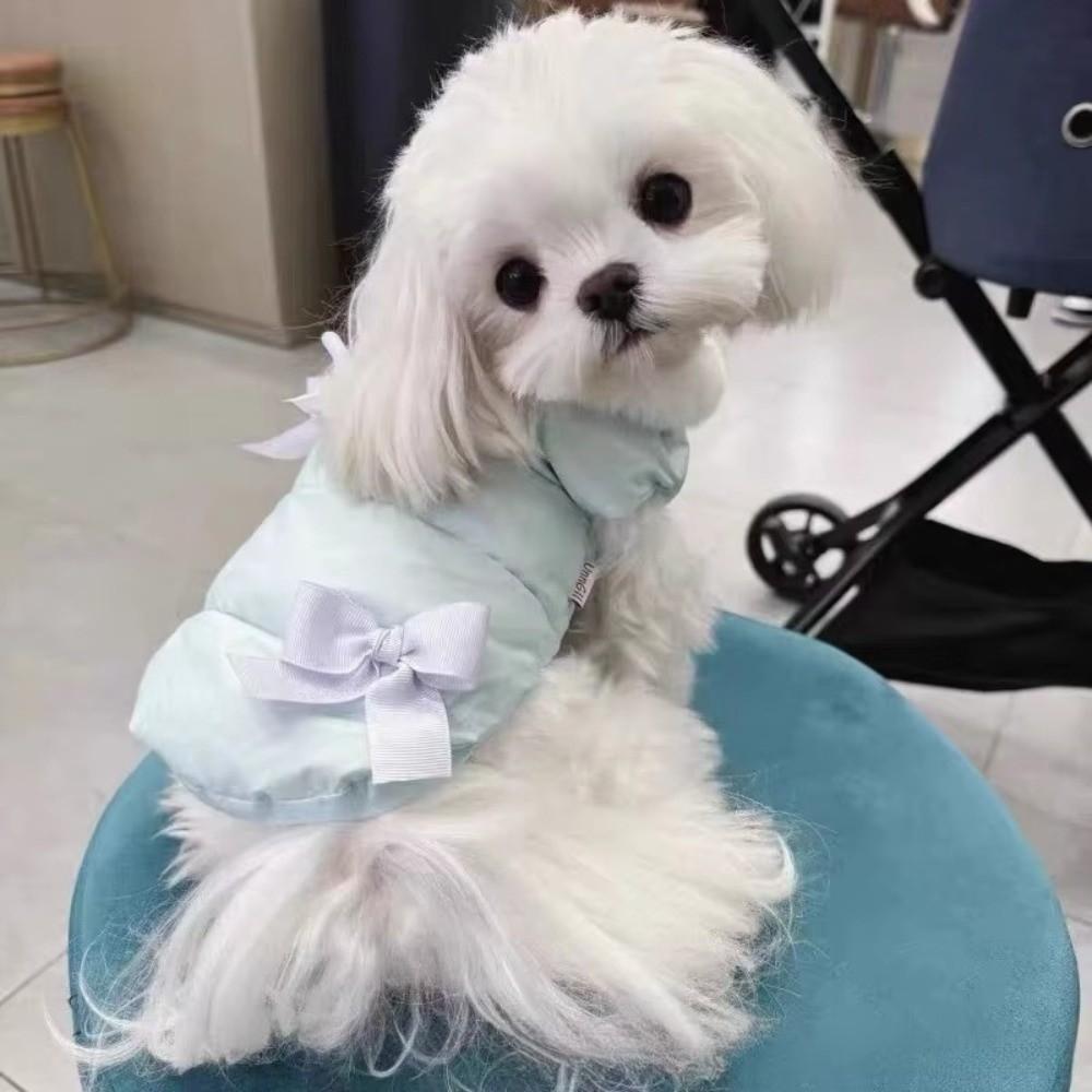 Winter Dog Hiking Jacket Plush Lining Dog Vest Coat Fashion Dog Bodysuit for Small Medium Dog