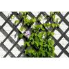 Treillis extensible - NATURE - Bois - 150 x 50 cm - Anthracite - Avec set de fixation