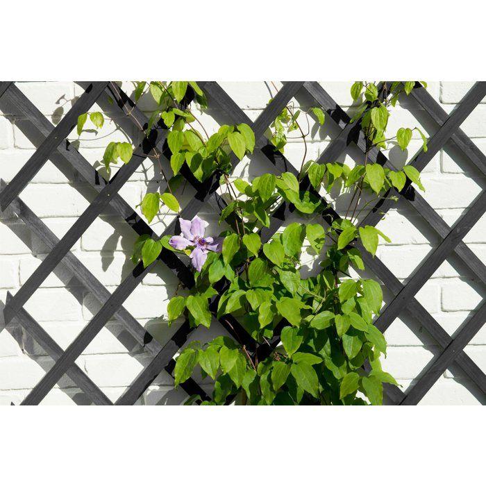 Treillis extensible - NATURE - Bois - 150 x 50 cm - Anthracite - Avec set de fixation