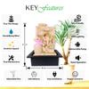 3 Step Ganesha Table Top Water Fountain with RGB LED Light for Home Décor/Gift/Vastu/Pooja/Reception/House Warming (Biege Stone)