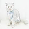 Kedi – Kediler için giyim