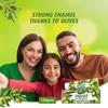 Olive Enamel Care Toothpaste + FREE ToothBrush Dabur Herb'l