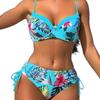 European & American Trendy Halter Strap Bikini with Print Design 2025