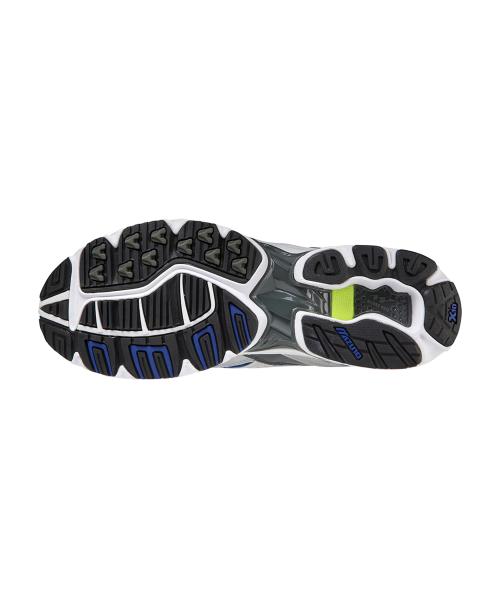 [Mizuno] Wave Rider 10 - White:Silver:Surf The Web / D1GA210406 [Shipped from Korea] 100% Authentic