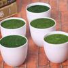 Garden Decoration Fake Flowers Balcony Vase Flower Arrangement Device Bonsai Ornament Flower Pot