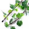 Realistic Vine Decoration for Reptiles Terrariums Natural Cave Habitat Decors Climbing Plant Hammock Hideouts Cave