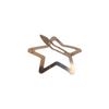Creative Pentagonal Star Star BB Hair Clip Alloy Metal Side Barrettes Colorful Hollow Y2k Hairpin Girls