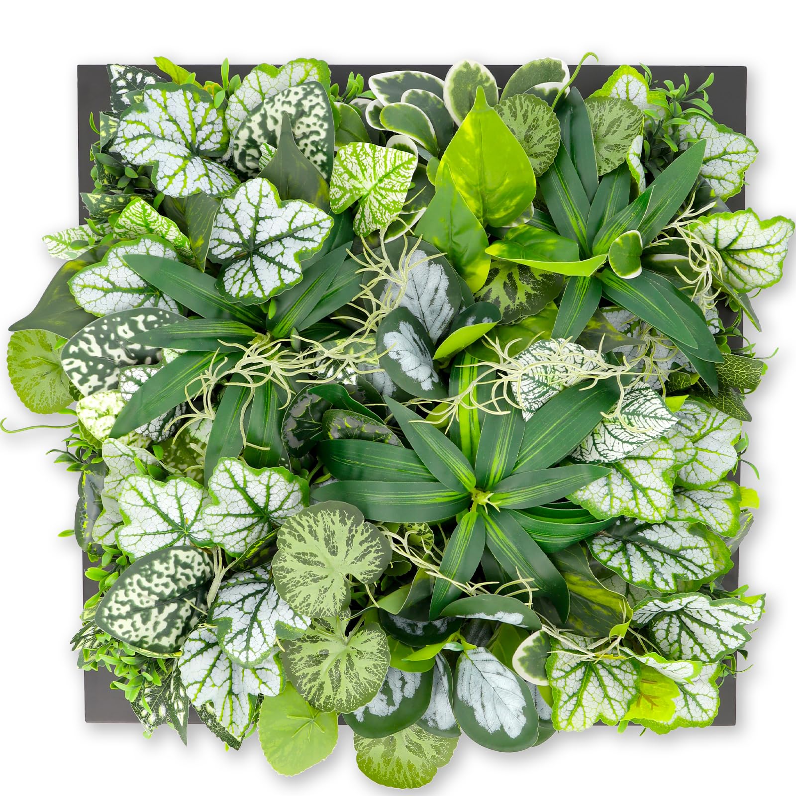 

[Supervised and Produced by a Professional Floral Designer] Made in Japan by Couleur Faux Wall Greenery for Interior Decor [Deodorizing with