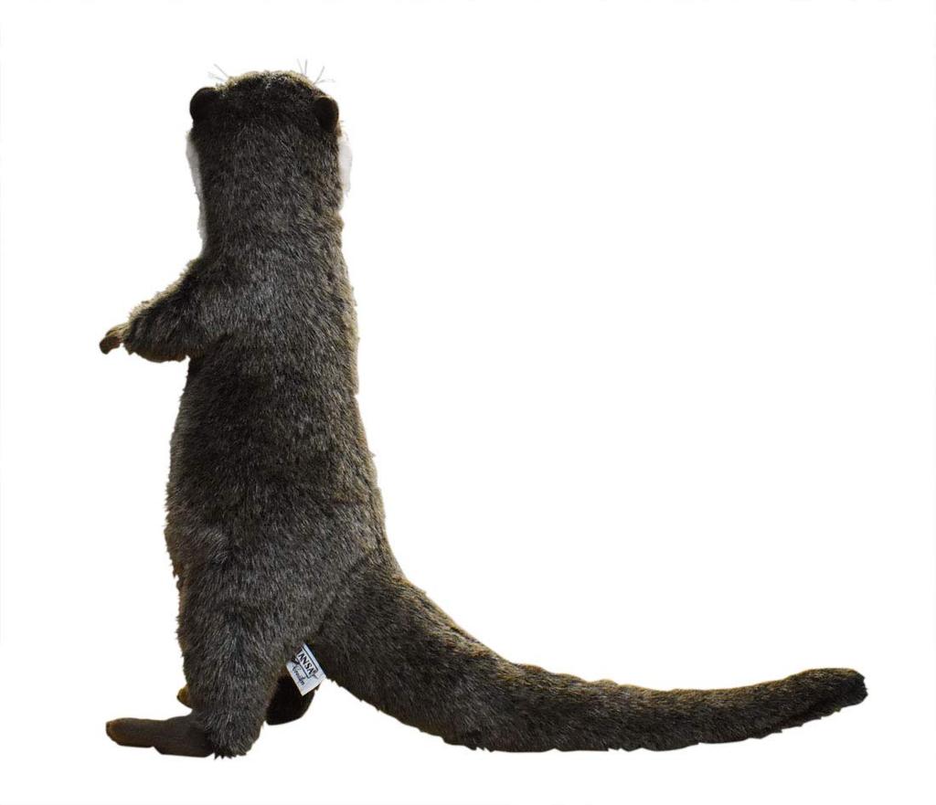 Otter No.3320