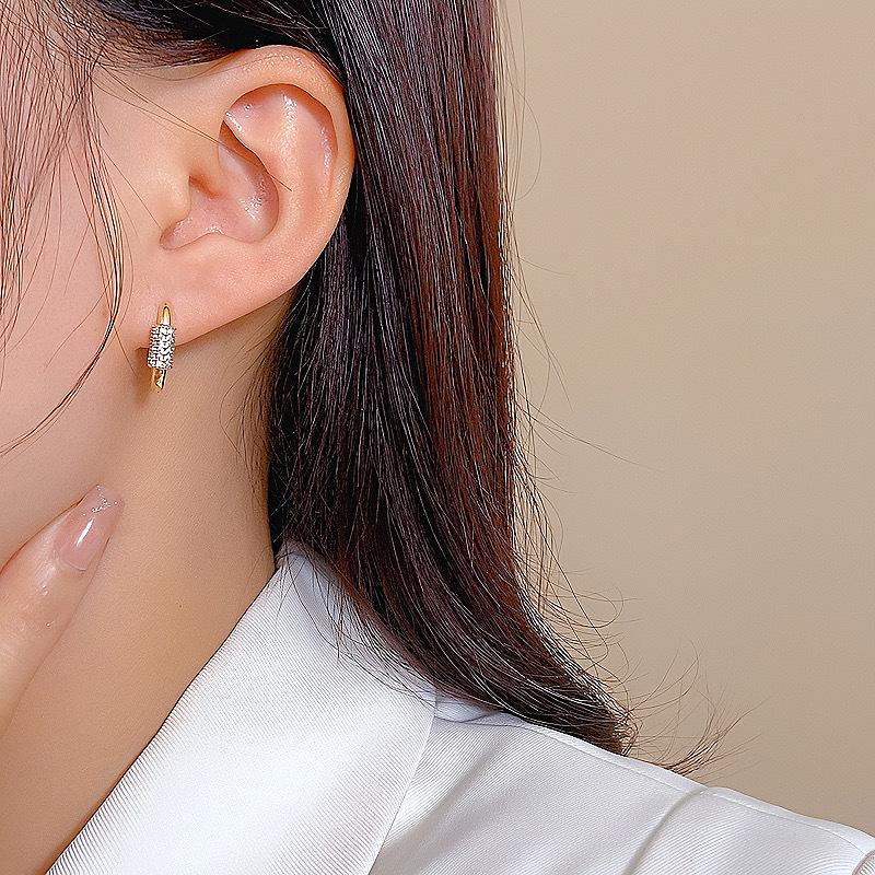 2024 High-End Oval Zircon Geometric Earrings: New Luxury Fashion Design