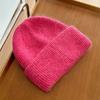 1pc Warm Knit Beanie for Men Women,Slouchy Beanie Hats Winter Knit Cap Soft Ski Hat Unisex,Thick Fisherman Cuff Plain Skull Caps