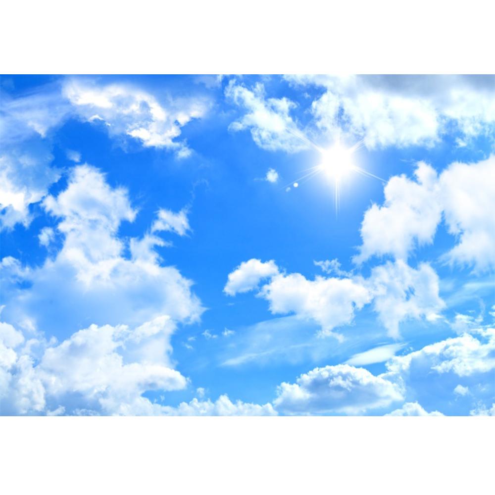 Sky Wall Mural Cloud Ceilings Wallpaper Kids Room Bedroom Living Room Ceiling Wall Mural