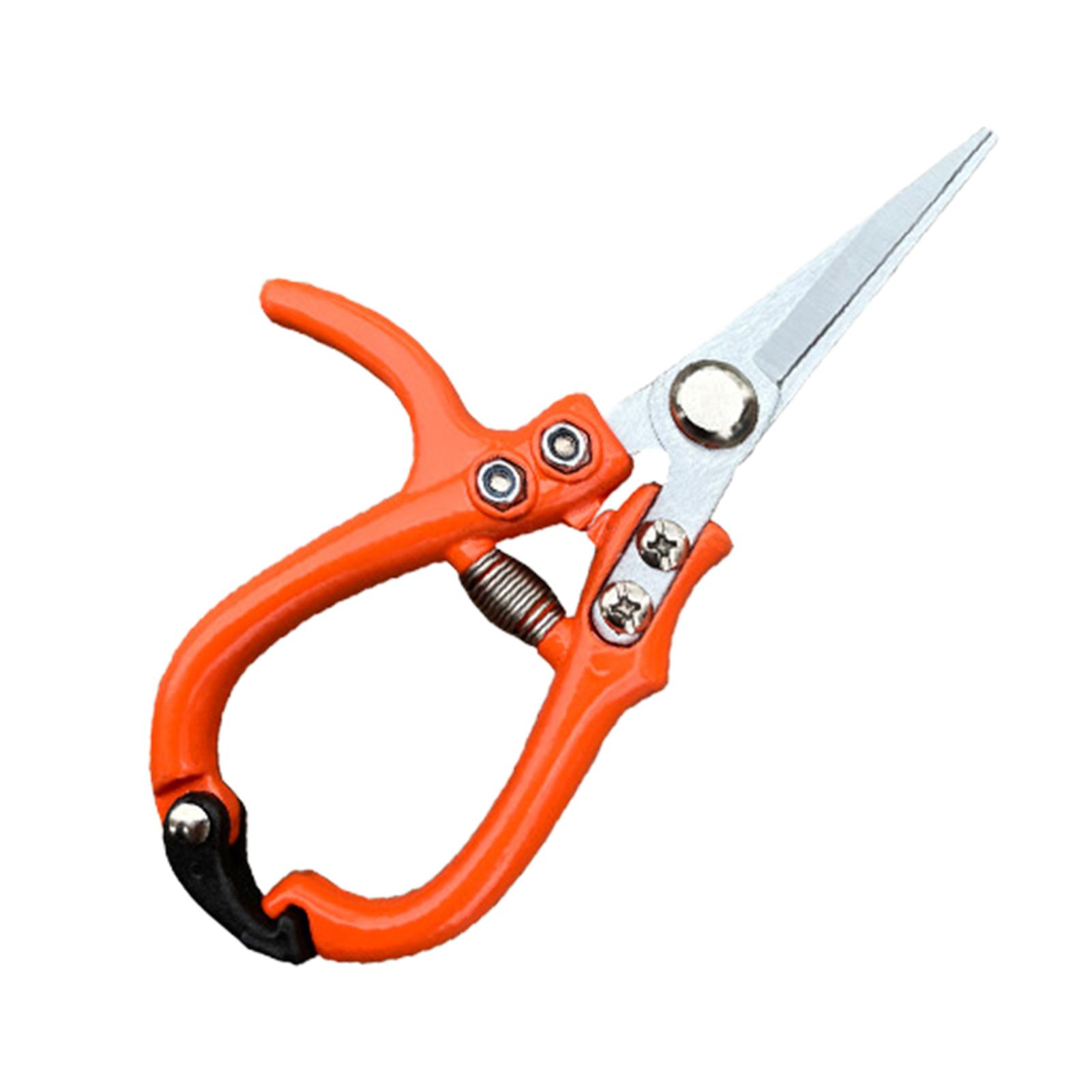 

Mini Garden Hand Pruners High Carbon Steel Spring Design Suitable For Trimming Plants And Bonsais