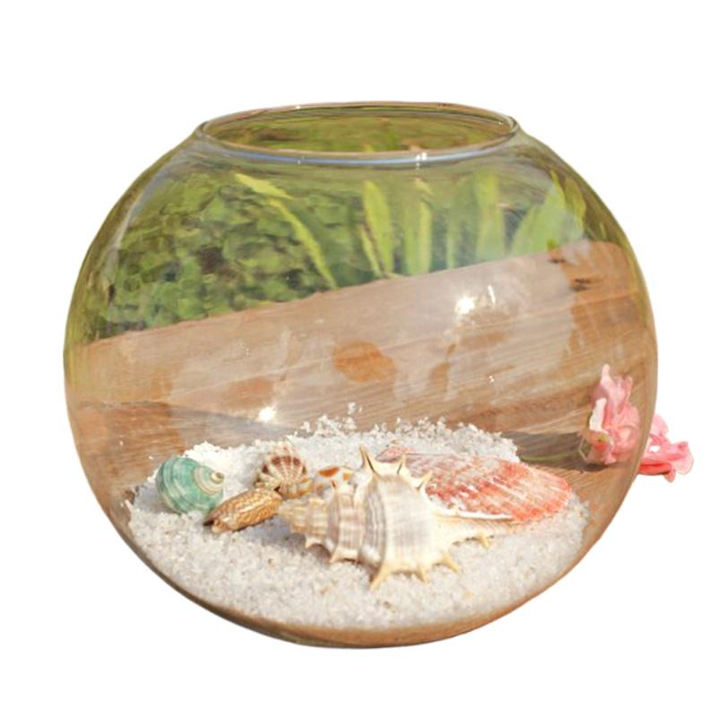 8/10/12/15cm Round Ball Vase Micro Landscape Moss Ecological Bottle Transparent Hydroponic Vase Simple