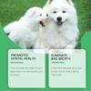 Pet Teeth Cleaning Sprays Easy To Use for Dogs Teeth Care Cleaning Mouth Preventing Bad Breath Tartar Gums Problems
