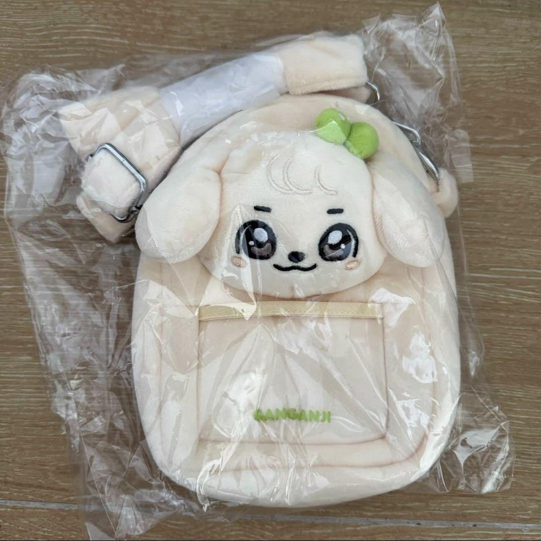 

[USED] IVE Yujin minive 2025 Korea Pop-up Exclusive Crossbody Bag