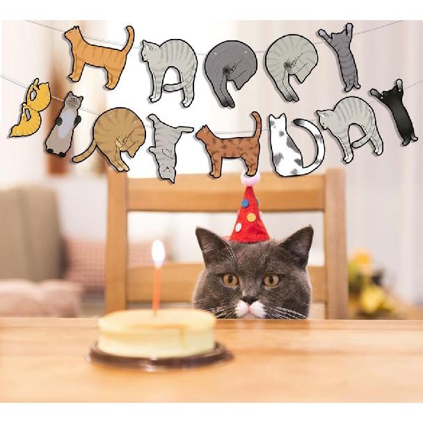 Birthday Decorations Pre-Strung Happy Birthday Cat Banner Funny Kitties Bday Party Decor Supplies Favors