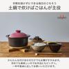 Ginpo Pottery Chrysanthemum Rice Cooker Clay Pot (2-3 Cup Capacity / 1.8L / Double Lid) Banko Ware Rice Cooker Stylish Retro Official Limited Color (2