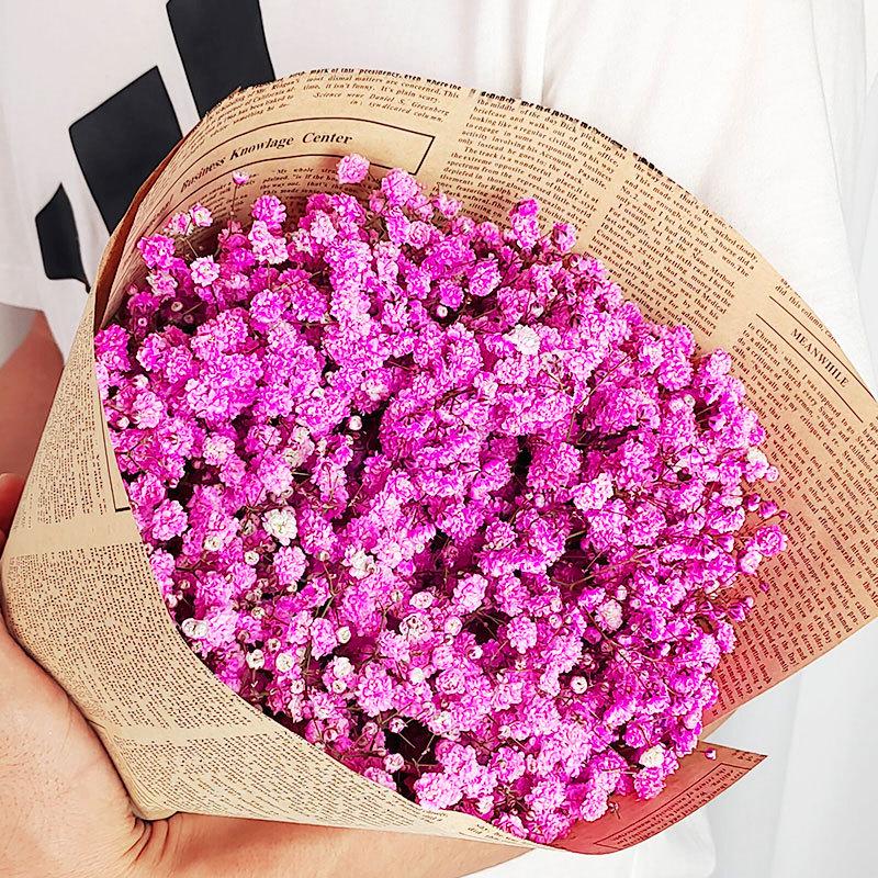 Baby's Breath Dried Flower Bouquet for Living Room Decor - Real Fresh Cut Flowers, Perfect for Gifting and Decorative Ornaments.
