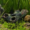 Non-toxic Fish Tank Ornament Decaying Trunk Aquarium Hide, Decorative Betta Hideout, with Multiple Holes Hide And Caves, Resin Log Hideout Cave
