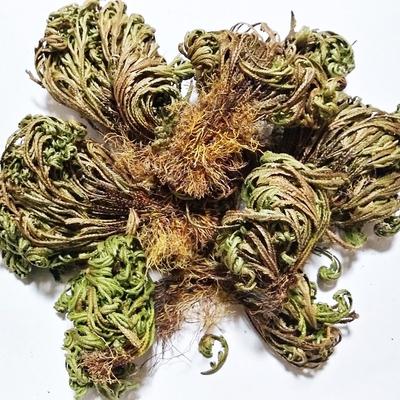 300g of Wild Buddha's Hand Collected Directly, Clean Product