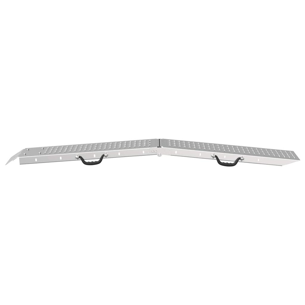Rampa Pieghevole Capacità di Carico 200 kg per Rampa 2 pz Argento 166 x 23 x 4,5 cm