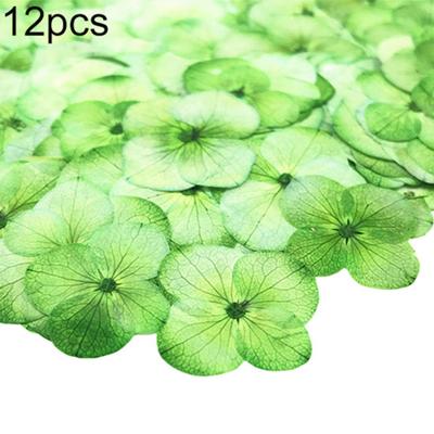 12Pcs Pressed Dried Flower Plant Specimen Epoxy Resin Phone Decor DIY Accessory