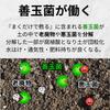Natural Applied Science Recycled Soil Material That Revives Just by Sprinkling 14L It,
