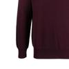 Polo Ralph Lauren Solid Color Zip High Neck Sweater Men sweater Burgundy 710888900-005