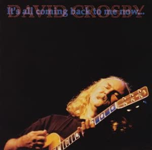 

CD DAVID CROSBY - сумка для cumming AMCY793 Япония Рок Б/у