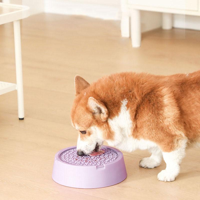 Cat And Dog Food Double Bowl Water Bowl Multifunctional Anti Rollover Food Container Detachable Leg Pet Food Bowl