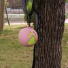 Portable Tennis Ball Holder Convenient Pet Ball Holder with Hands Free Dog Leash Attachment for Active Pets Easy Install