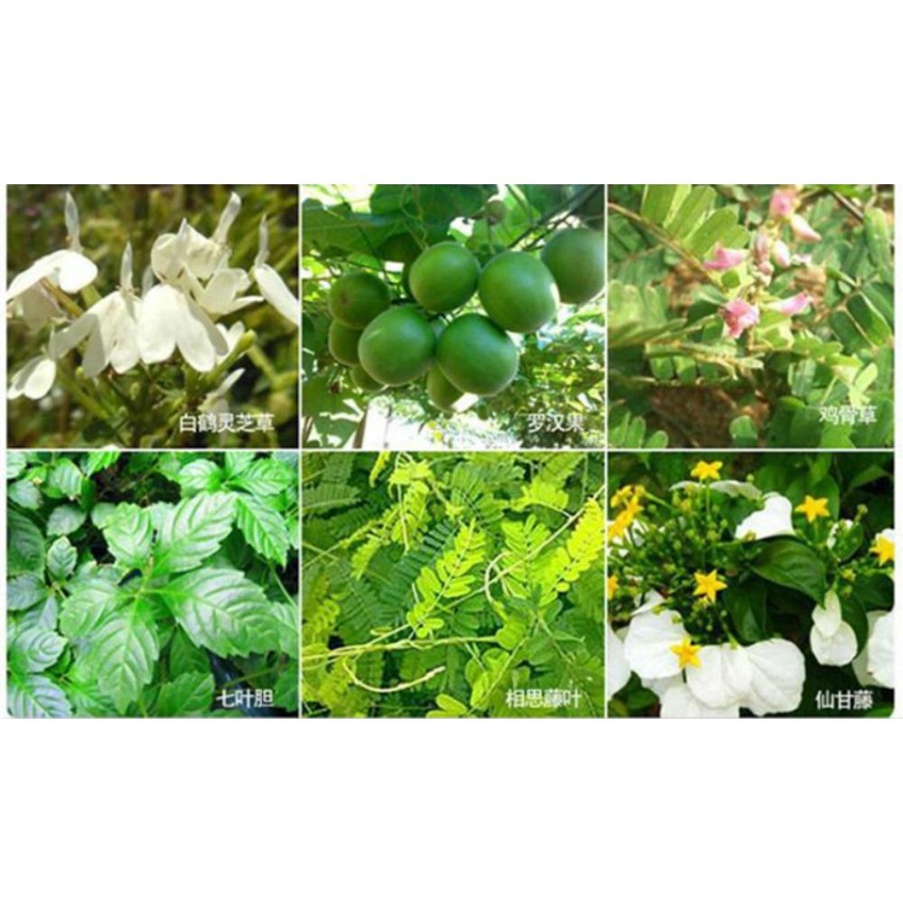 6 Bags Premium Liver Detox Tea Chinese Herbal Blend Hepatica Cleanse