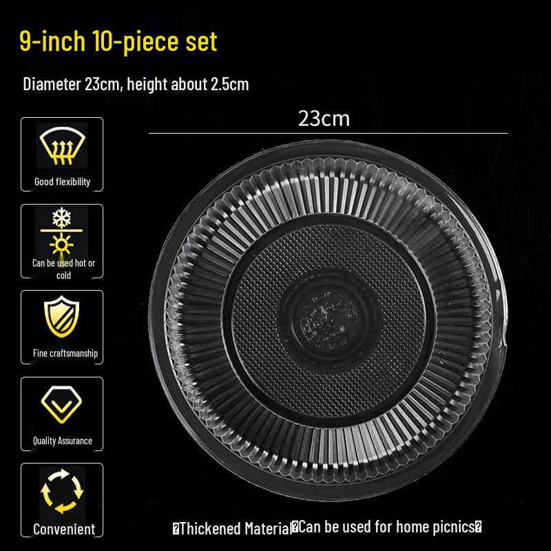ZISIZ Disposable Picnic Plate