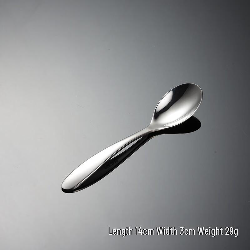 

304 Stainless Steel Dessert Spoons, 10-Pack