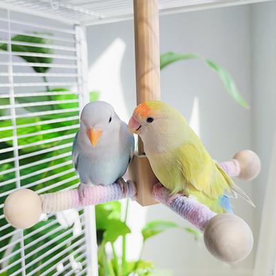Bird Rotating Perch Toy Wooden Toy, Interactive Playing Wheel Parrot