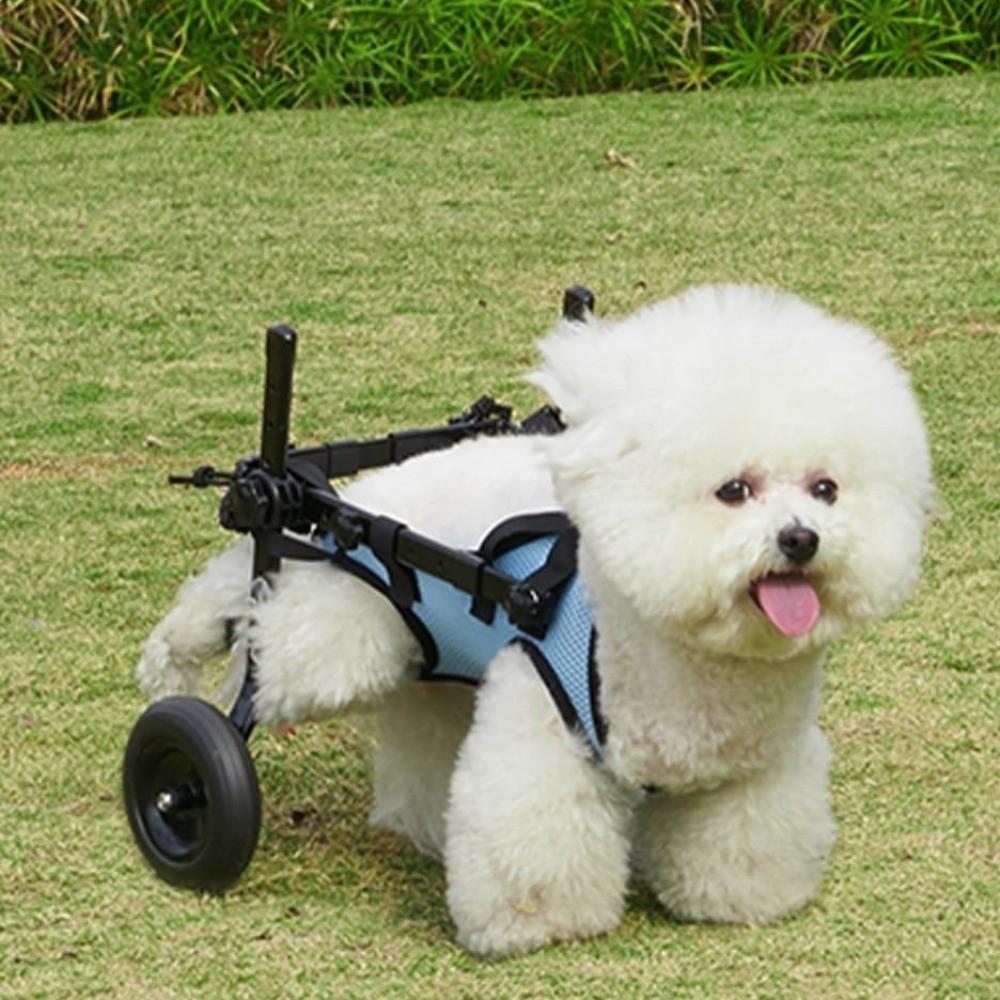 Adjustable Pet Wheelchair Cart Comfortable Rehabilitation Walking Assistant Outdoor Use