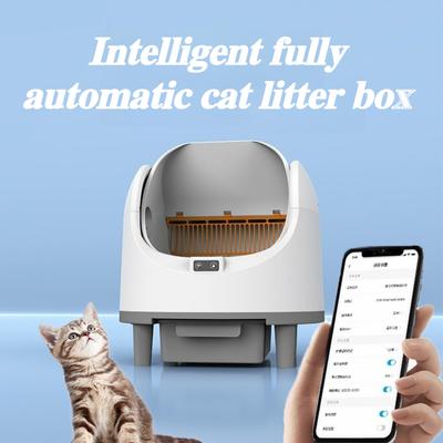 Katzen – Katzentoiletten & Katzenklos