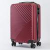 Shijiang 20-inch PC Hardside Spinner Luggage