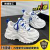 Single Mesh Dad Shoes Women's Ins Tide 2025 Summer New Thin Thick-soled Heightening Muffin Shoes Casual Sports Shoes