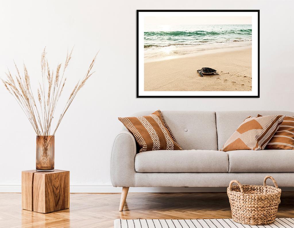 Obraz plakat w ramie 33x43 cm żółw p2261