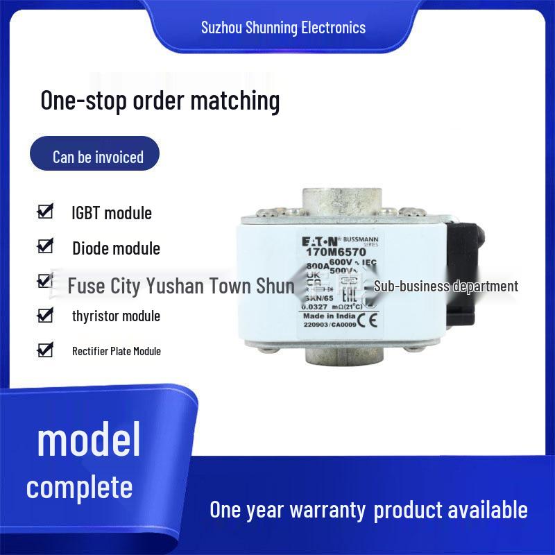 170M6590 170M6591 170M6592 Original Complete Fuse Models 170M6590