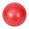 Yoga Ball for Exercise, Stability and Training